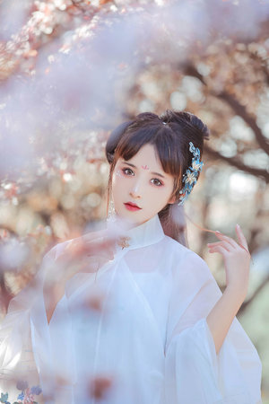 爱情鸟在线观看免费观看最新