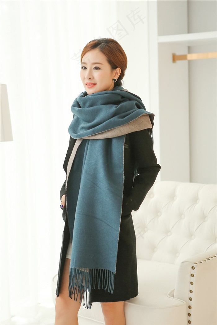 大军师司马懿之虎啸龙吟