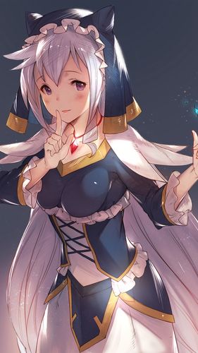 刁蛮公主电视剧