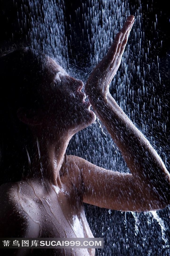 无码精品国产va在线观看动漫