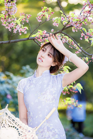 僧侣之夜动漫在线观看