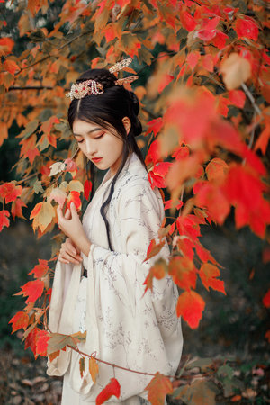 爱情动作电影免费观看高清完整版在线观