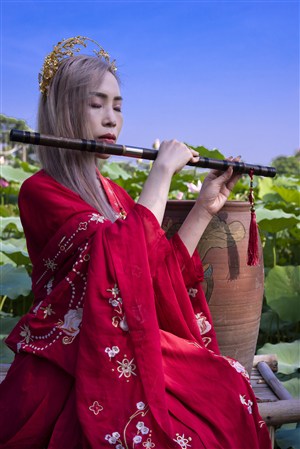 法网追凶电视剧免费观看完整版