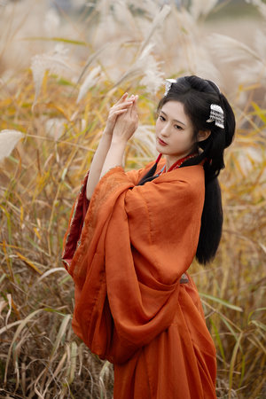 哥我是你的亲妹妹免费播放电视剧