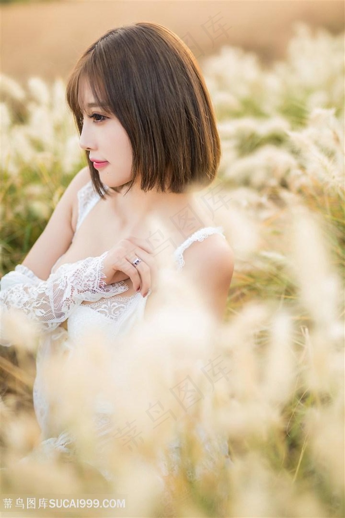 斗破苍穹第7季全集免费完整版