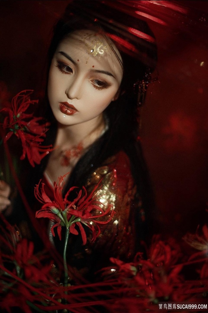 红豆女之恋电视剧