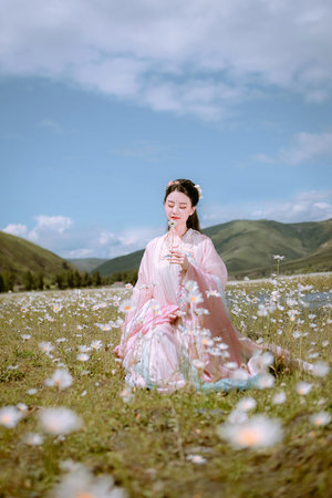 沈姑娘追妻攻略免费阅读