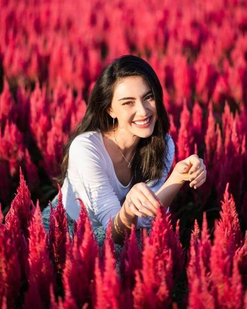 豪门少女寂寞心