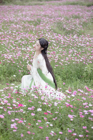 亲爱的柠檬先生