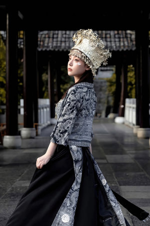 少女与动物免费观看高清版